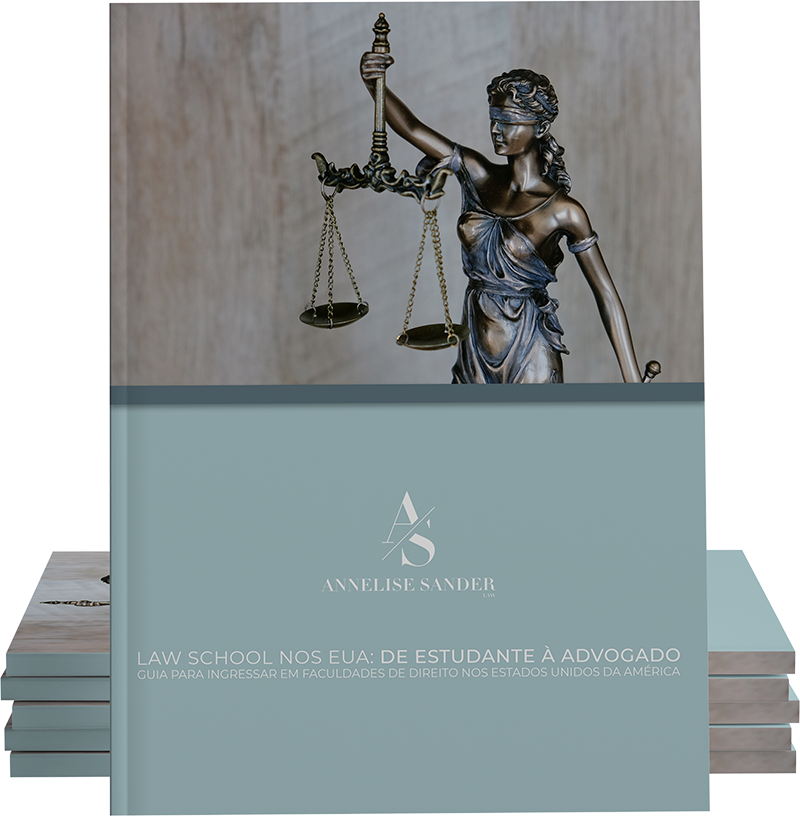 ebook-law-school